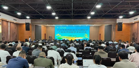 2025年谷子高粱糜子产业技术创新学术研讨会在河南举行 赤峰市农牧科学院积极参会交流